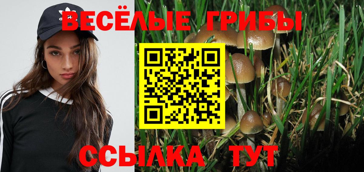Фрязино  Галлюциногенные грибы Magic Shrooms  Вход с VPN 